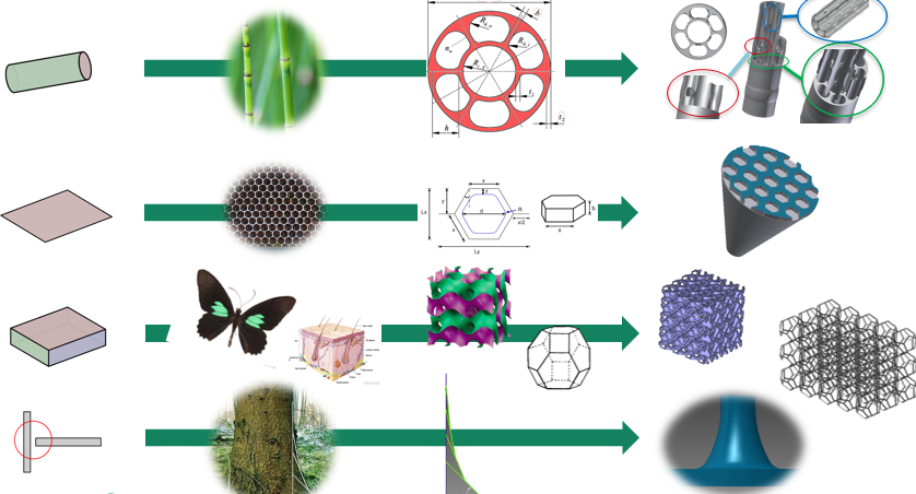 Structures from nature serve as inspiration for 3D CAD model features, as CENIT develops an automated bionic-design toolbox. The work is geared to additive manufacturing of aircraft and supports the Bionic Aircraft project. (Image courtesy CENIT)